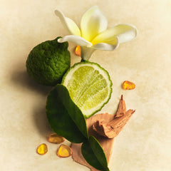 Skin Perfecting Body Lotion X2